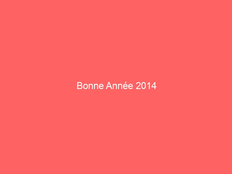Bonne Année 2014